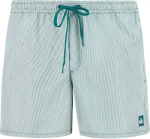 Quiksilver Herren Badeshorts grün Gestreift