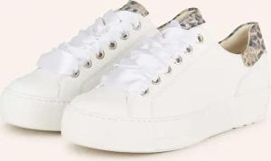 paul green Sneaker