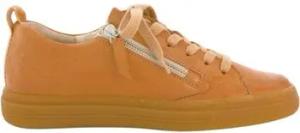 Paul Green Sneaker Sneaker