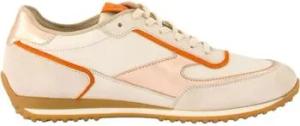 Paul Green  Sneaker Sneaker