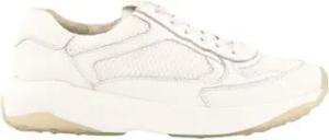 Paul Green Sneaker Sneaker