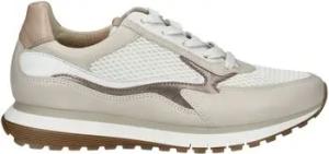 Gabor Sneaker Sneaker