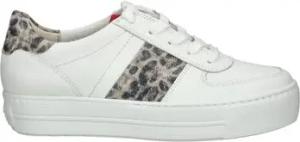 Paul Green Sneaker Sneaker