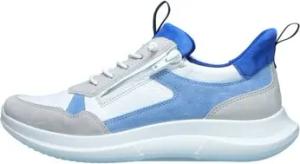 Ara Sneaker Motion weiß blau 12-14206-06