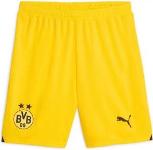 PUMA Shorts BVB Shorts Replica 23/24 Gelb Herren