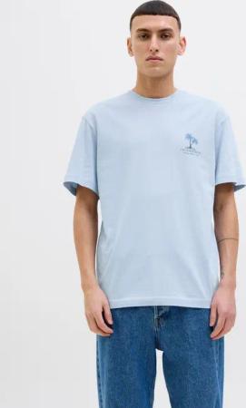 Jack & Jones Rundhalsshirt "JJSUMMER VIBES TEE SS CREW NECK LN"