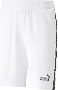 Puma Shorts 673365-02