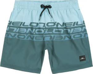 O'Neill - O'Neill Cali Stripe 14' Badehose Kinder blue upside down