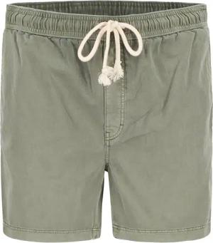 Gant Herren Shorts grün