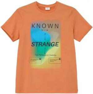 s.Oliver T-Shirt T-Shirt