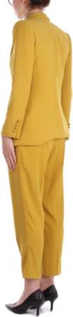 Elisabetta Franchi - Dresses Curry - Größe 44 - yellow