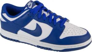 Nike Sneaker Dunk Low Retro