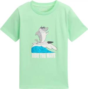 TOM TAILOR Jungen T-Shirt mit Print, grün, Uni, Gr. 104/110