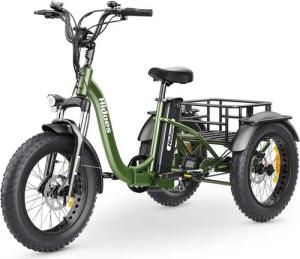 DOTMALL E-Bike E-Dreirad faltbares Cargo bike HIDOES 20*4.0 inch 48V 20Ah 250W