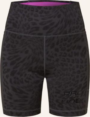 VENICE BEACH Tights GLENDALE