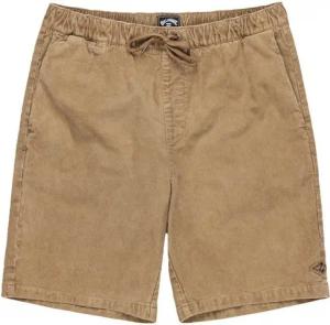Billabong Shorts