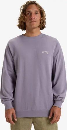Billabong Sweatshirt Billabong Sweatshirt Arch CR Flieder
