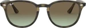 Ray-ban Sonnenbrillen Sonnenbrille RB4259 731/E8