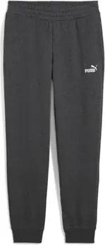 Puma Trainingsanzüge Jogging femme CL