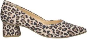 Paul Green  Pumps Pumps