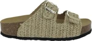 Plakton  Pantoffeln 340010