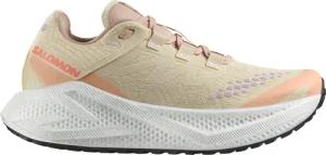 Salomon Damen Aero Glide 3 GRVL Schuhe
