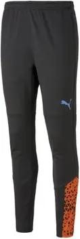 Puma  Hosen Sport individualCUP Training Pan 658295 050