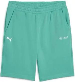 Puma Shorts 623761-05