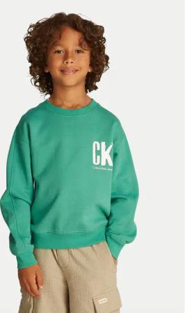Calvin Klein Jeans Sweatshirt Summer IB0IB02462 Grün Regular Fit