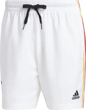 Shorts Deutschland DNA 2023