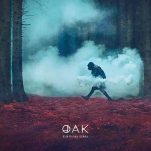 The third sleep von Oak - CD (Jewelcase)