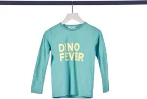 TOM TAILOR Langarmshirt Dusty Green