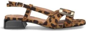 Alma Blue Pumps V25BLT125
