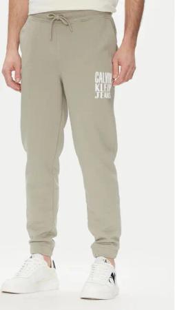 Calvin Klein Jeans Jogginghose Painted J30J327535 Grün Regular Fit