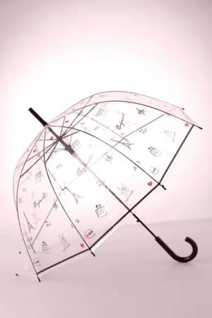 Bonjour Paris Transparenter Kuppelschirm in Schwarz