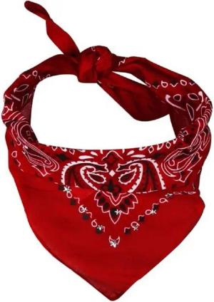 Capelli New York Bandana Bandana