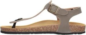 Gold Star Zehentrenner -