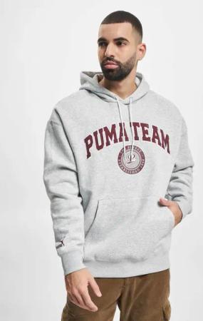 Puma Team Hoodie