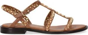 Ash Sneaker -