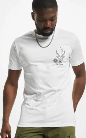 Mister Tee Astro Capricornus