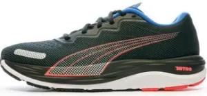 Puma Herrenschuhe 195337-17