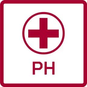 Gedore Red 2K-Schraubendreher PH Philipps