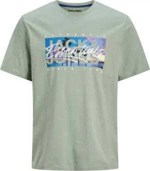 Jack & Jones Print-Shirt "JJCOLTON PHOTOPRINT TEE SS CREW NECK"