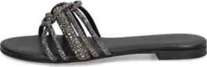 Kate Gray Pantoffel