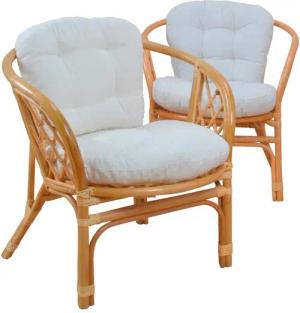 moebel-direkt-online Sessel Harald (2tlg. Spar-Set, 2 Sessel mit Kissen)
