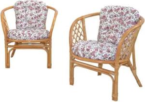 moebel-direkt-online Sessel Harald (2tlg. Spar-Set, 2 Sessel mit Kissen)