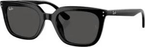 Ray-ban Sonnenbrillen UNISEX 0RB4439D 901/87