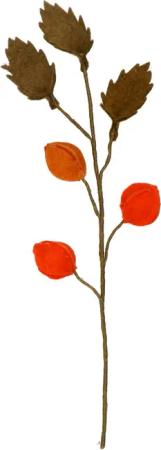 Blume Blasenkirsche aus Wollfilz