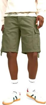 Jack & Jones  Shorts -