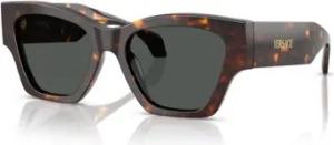 Versace  Sonnenbrillen Sonnenbrille VE4492U 108/87
